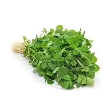 Methi Leaves