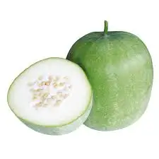 Ash Gourd
